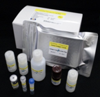 ヒトコラーゲン タイプⅠ ELISA kit用ペプシン(EC1-E110)