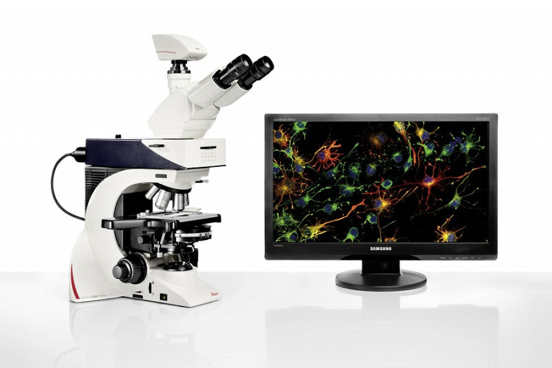 INMEDIAM】Leica 研究用顕微鏡 DM2500(蛍光、明視野) – イン INMEDIAM】Leica 研究用顕微鏡 DM2500(蛍光、明視野) – イン