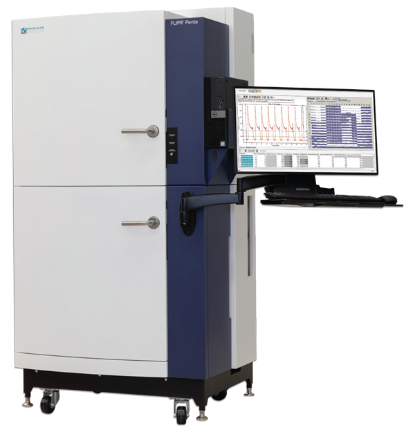 MON　【美品】pakicetus 6.3 M²インフレータブル flipr_penta_transparent_1200x1