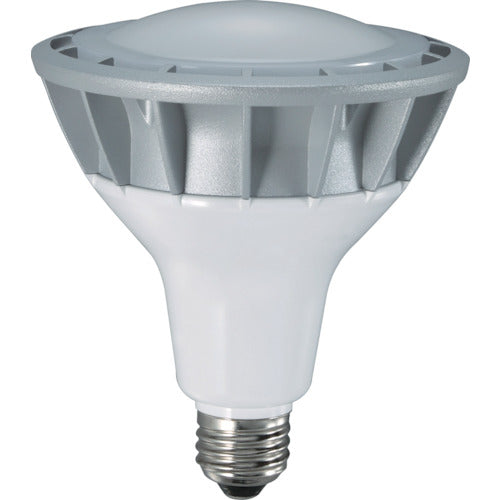 ハタヤ LED作業灯 20W交換球昼白色広角タイプ 126-5019