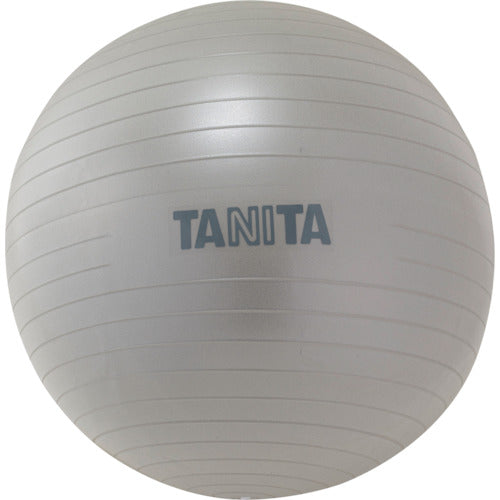 TANITA TANITA ジムボール TS-962-SV 268-4921