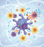 pDC細胞の活性化による免疫細胞の活性化試験の受託サービス