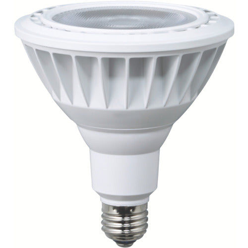 ハタヤ LED作業灯 20W交換球昼白色ビームタイプ 858-5881
