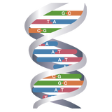 細胞のリアルタイムPCRによる解析の受託サービス