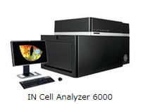 cytiva IN Cell Analyzer 6000
