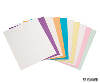 精密研磨フィルムシート #600 SKF#600 3-9013-02