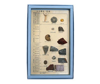 化石標本(化石標本15種)   3-654-04