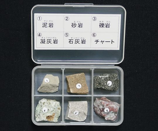 岩石標本(岩石標本堆積岩6種)   3-657-02