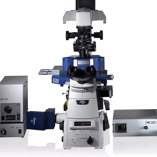 BRUKER JPK NanoWizard 倒立顕微鏡搭載型バイオ向け原子間力顕微鏡（AFM）