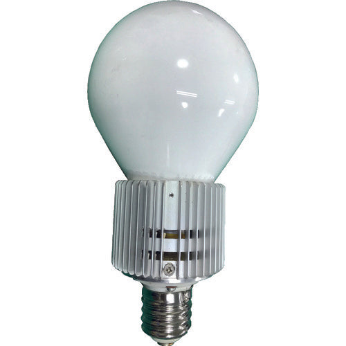 ELI Lamp BUー120W-E39-N 屋内用 3242 160-9154