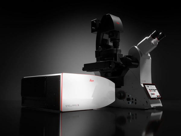 Leica 共焦点レーザー顕微鏡 STELLARIS5