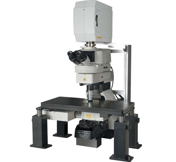 ニコン 多光子共焦点レーザー顕微鏡システム A1R MP+