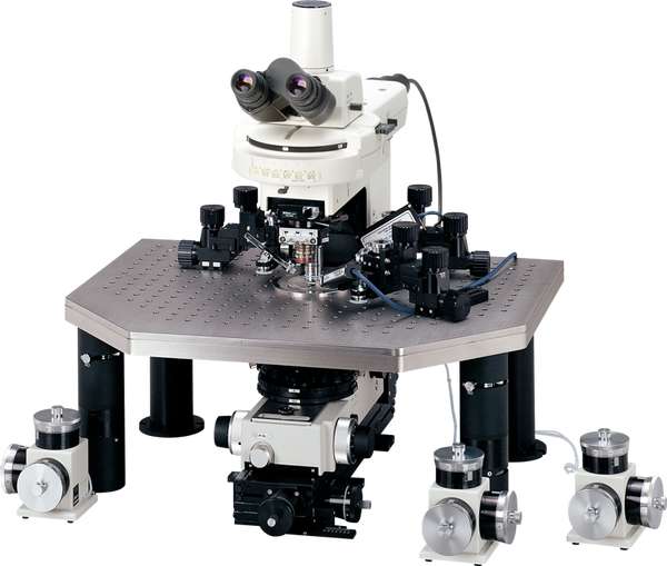 ニコン 研究用対物上下動式正立顕微鏡 ECLIPSE FN1