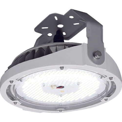IRIS 高天井用LED照明 RZ180シリーズ 直付タイプ 10000lm LDRCL58N-110BS 161-3844