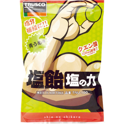 TRUSCO 【※軽税】塩飴 塩の力 100g袋入 青梅味 (1袋入) TNU-100 408-7364