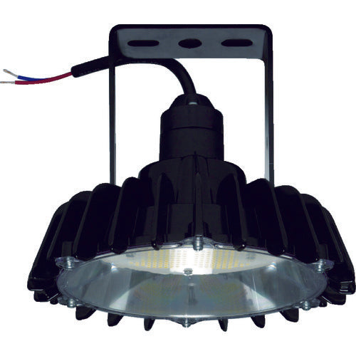 日立 高天井用LEDランプ アームタイプ 特殊環境対応 防湿・防雨形(耐衝撃形) WCBME11AMNC1 125-6863