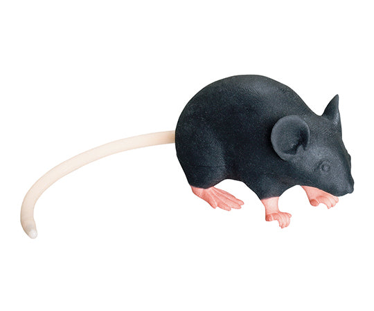 マウス型実習用動物シミュレータ Mimicky（R） rrrmm01 3-8333-01