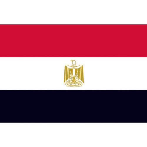 INMEDIAM】東京製旗 国旗No.2(90×135cm) エジプト・アラブ 426163 207