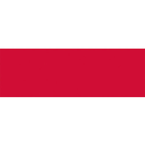 東京製旗 国旗No.2(90×135cm) ポ-ランド 426682 207-3813