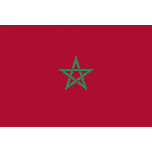 東京製旗 国旗No.2(90×135cm) モロッコ 426786 207-3843