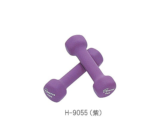 ラバーコートダンベル 1kg H-9055(紫) 7-1968-02