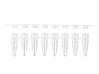 Axygen PCR8連チューブ フラットキャップ付き 0.2 mL 透明 未滅菌 PCR-0208-FCP-C